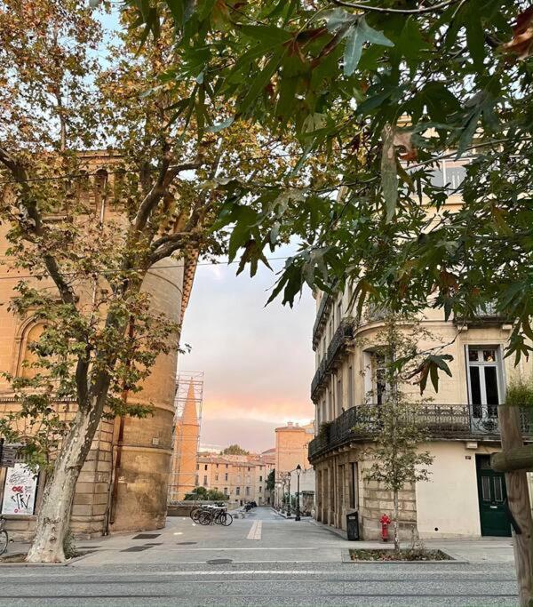 Appartement Cosy Au Coeur De L'Ecusson Montpellier Eksteriør bilde