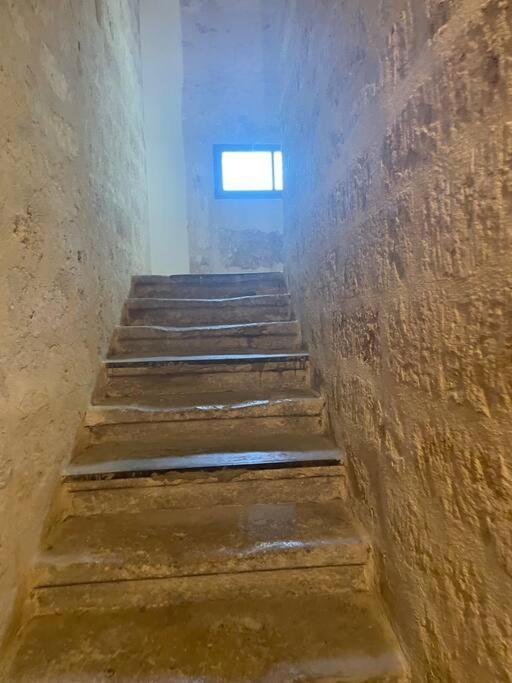 Appartement Cosy Au Coeur De L'Ecusson Montpellier Eksteriør bilde