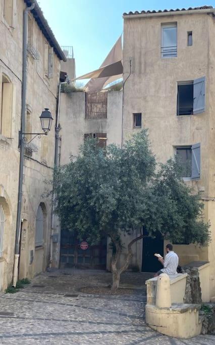 Appartement Cosy Au Coeur De L'Ecusson Montpellier Eksteriør bilde
